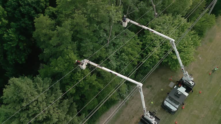 Best Storm Damage Tree Cleanup  in Four Cners, OR